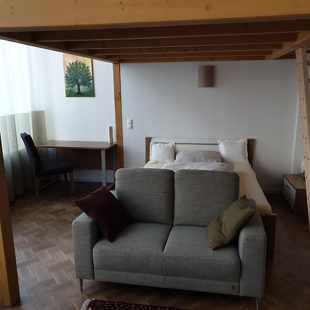 Ferienwohnung Unterhalb Der Heidecksburg 鲁多尔施塔特 外观 照片